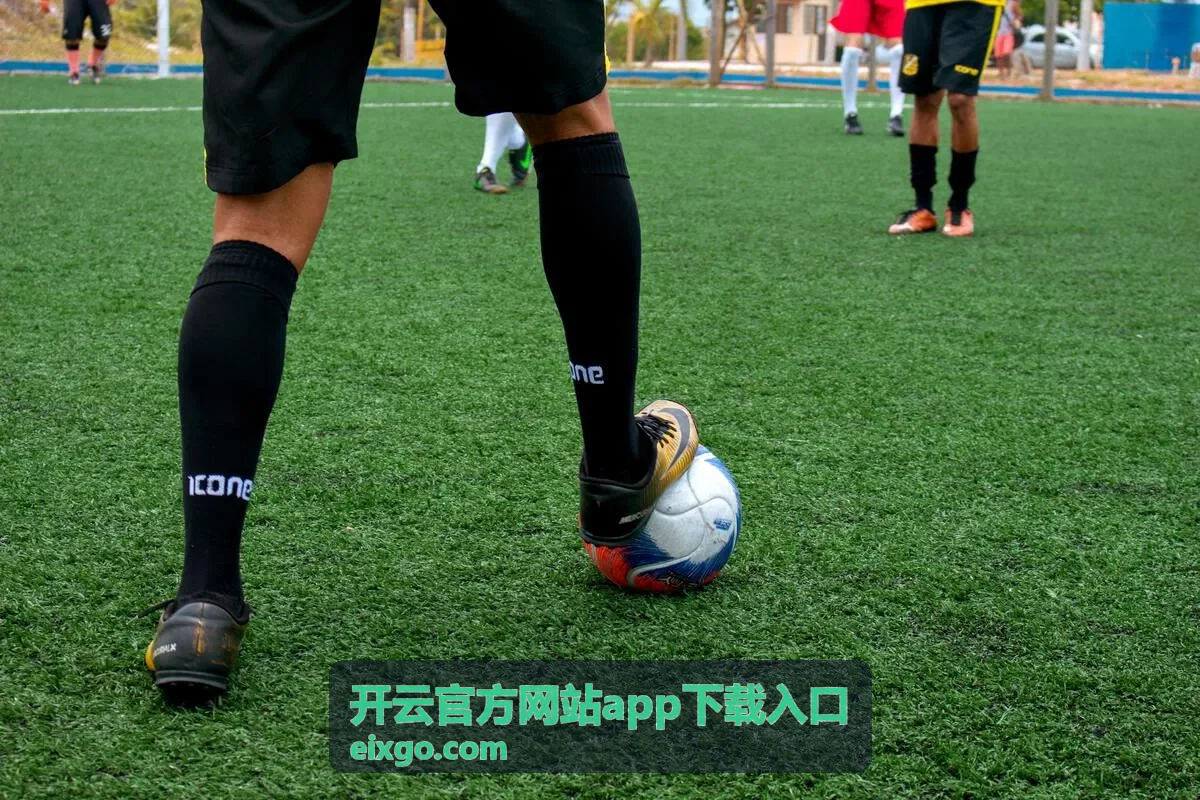 开云官方网站app下载入口 安全验证机制