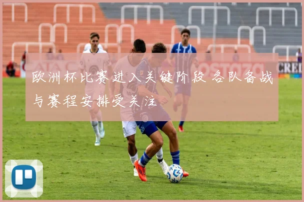 欧洲杯比赛进入关键阶段 各队备战与赛程安排受关注