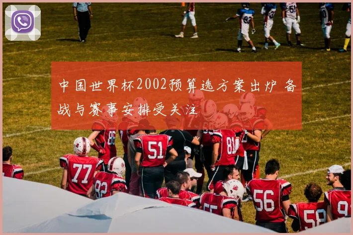 中国世界杯2002预算选方案出炉 备战与赛事安排受关注