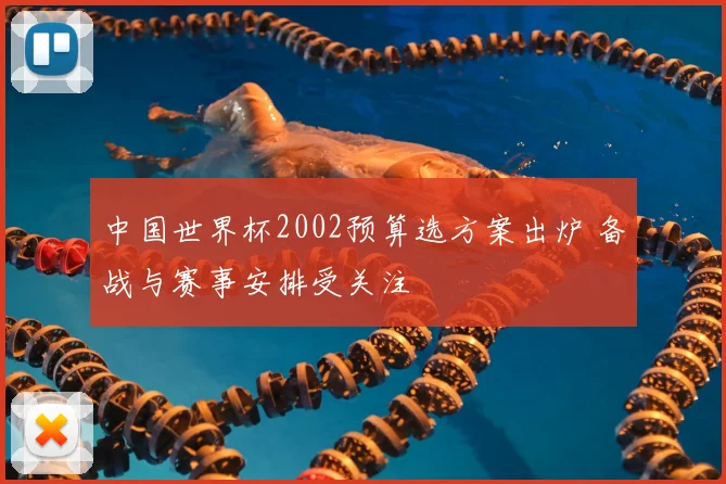 中国世界杯2002预算选方案出炉 备战与赛事安排受关注