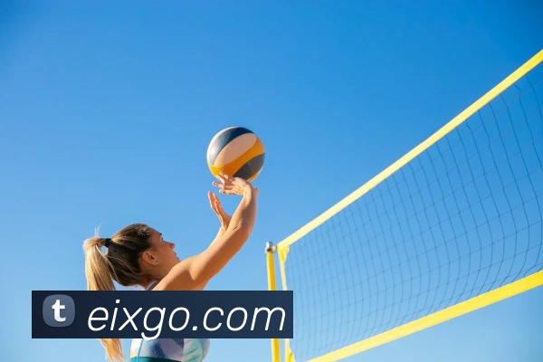 电子娱乐pg平台免费入口下载发展历程